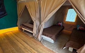 Camping Animal King