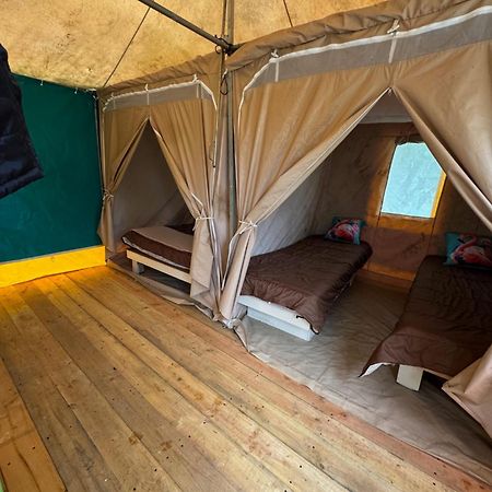 Camping Animal King Esnandes Extérieur photo