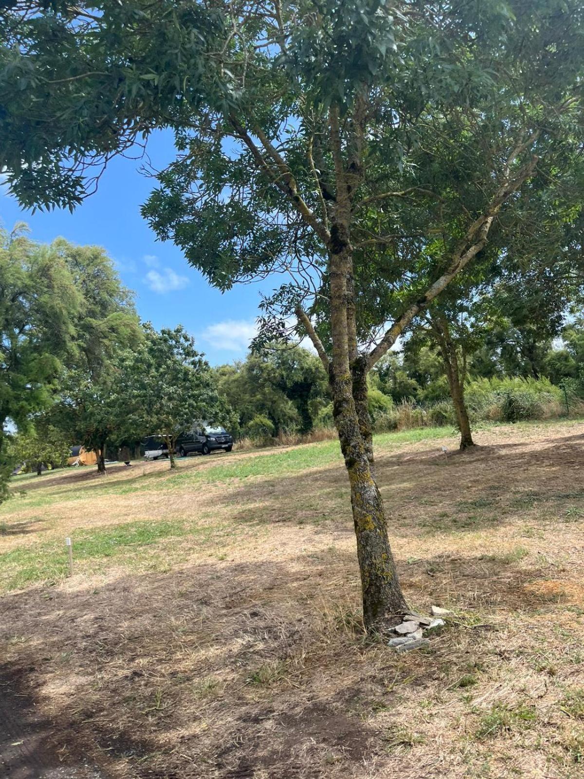 Camping Animal King Esnandes Extérieur photo