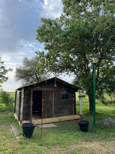 Camping Animal King Esnandes Extérieur photo