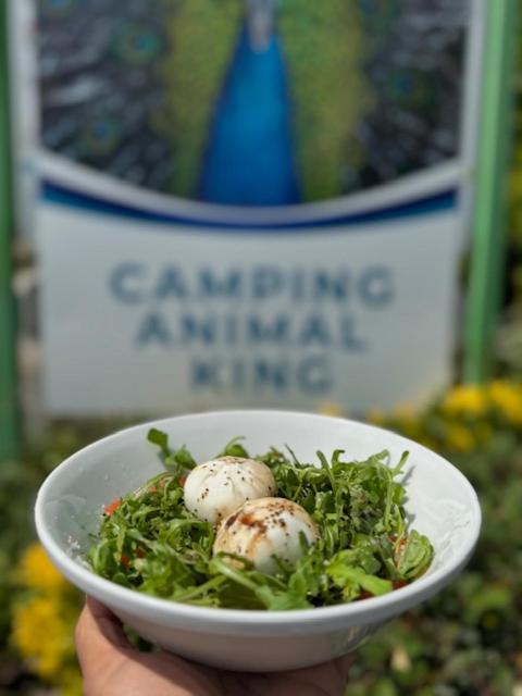Camping Animal King Esnandes Extérieur photo